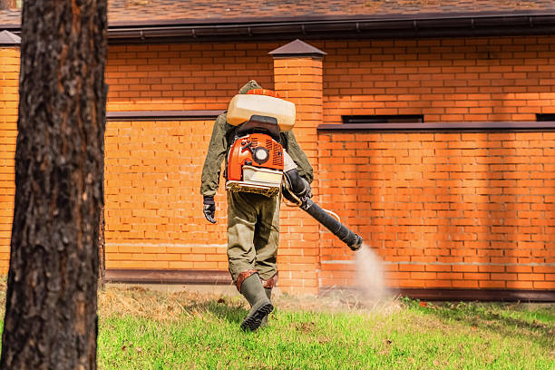 Trusted Emergency Pest Control service in Westmont, NJ - Nex Pest Control